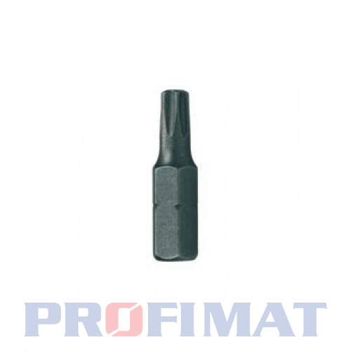 Sada bitovTORX TX25x25mm  cena za 1ks
